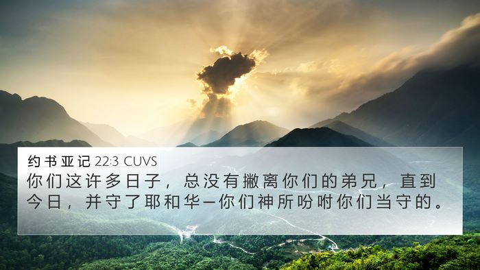 约 书 亚 记 22:3 CUVS 4K Wallpaper - 你 们 这 许 多 日 子 ， 总 没 有 撇 - 4K Wallpaper Bible Verse