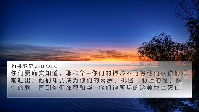 约 书 亚 记 23:13 CUVS Bible Verse Image