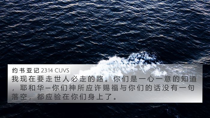 约 书 亚 记 23:14 CUVS 4K Wallpaper - 我 现 在 要 走 世 人 必 走 的 路 。 - 4K Wallpaper Bible Verse