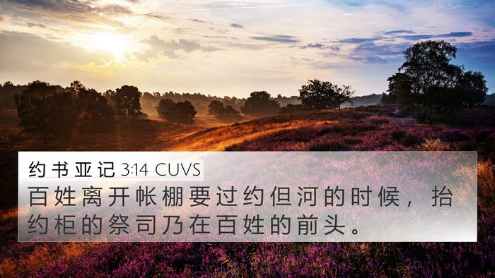 约 书 亚 记 3:14 CUVS Bible Verse Image