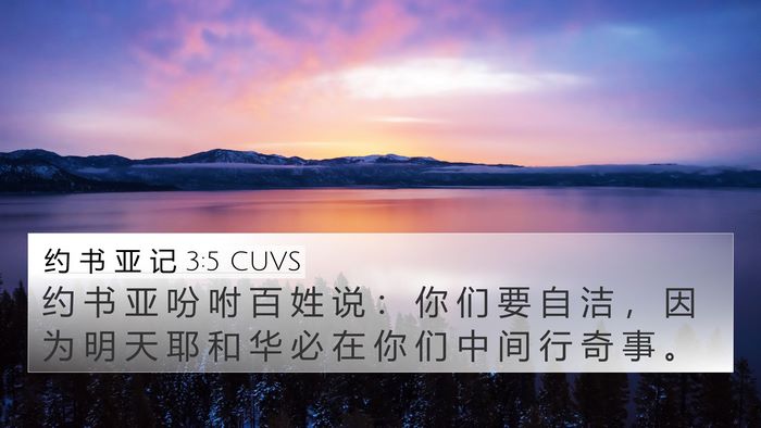 约 书 亚 记 3:5 CUVS Bible Verse Image