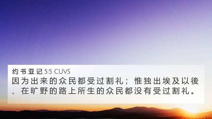 约 书 亚 记 5:5 CUVS 4K Wallpaper - 因 为 出 来 的 众 民 都 受 过 割 礼 - 4K Wallpaper Bible Verse