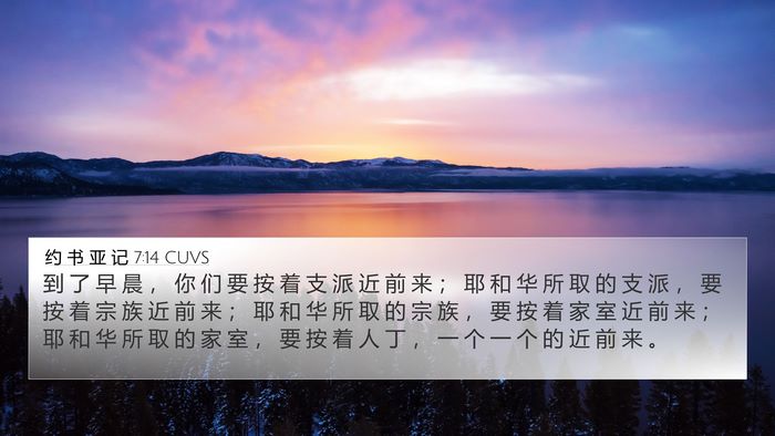 约 书 亚 记 7:14 CUVS Bible Verse Image