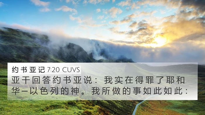 约 书 亚 记 7:20 CUVS Bible Verse Image
