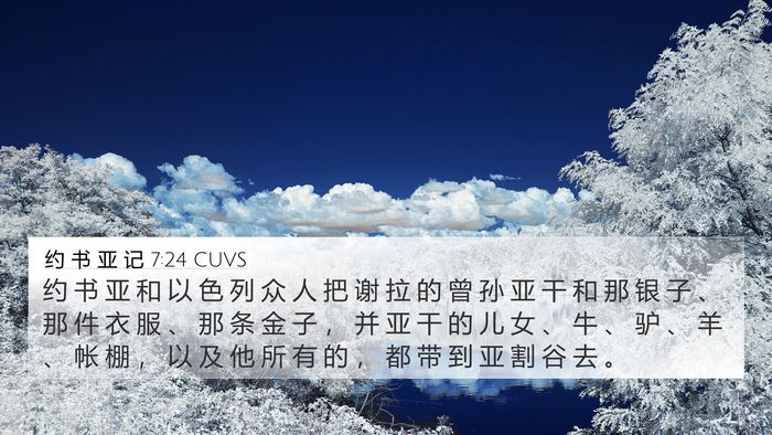 约 书 亚 记 7:24 CUVS Bible Verse Image