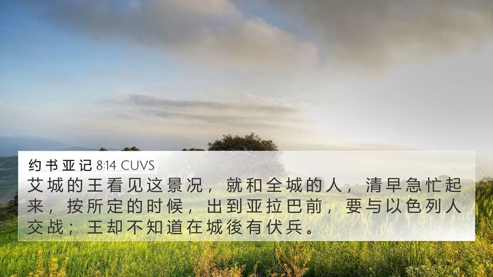 约 书 亚 记 8:14 CUVS Bible Verse Image