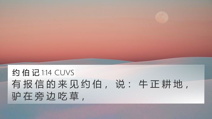 约 伯 记 1:14 CUVS Bible Verse Image