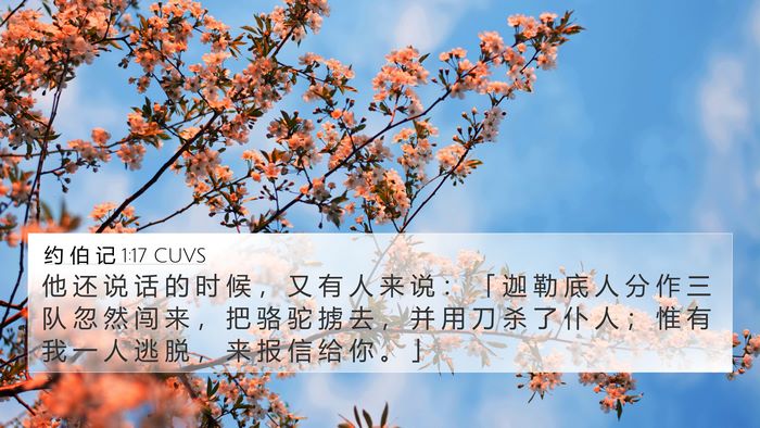 约 伯 记 1:17 CUVS Bible Verse Image