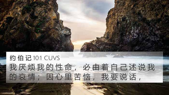约 伯 记 10:1 CUVS Bible Verse Image