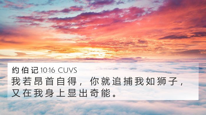 约 伯 记 10:16 CUVS Bible Verse Image