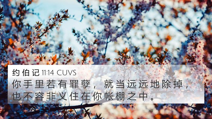 约 伯 记 11:14 CUVS Bible Verse Image