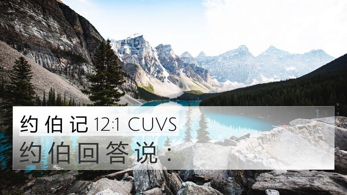 约 伯 记 12:1 CUVS 4K Wallpaper - 约 伯 回 答 说 - 4K Wallpaper Bible Verse