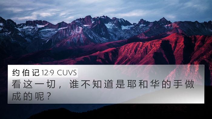 约 伯 记 12:9 CUVS Bible Verse Image