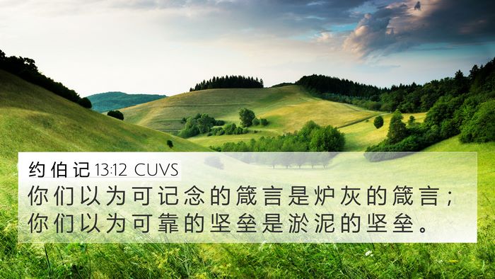 约 伯 记 13:12 CUVS Bible Verse Image