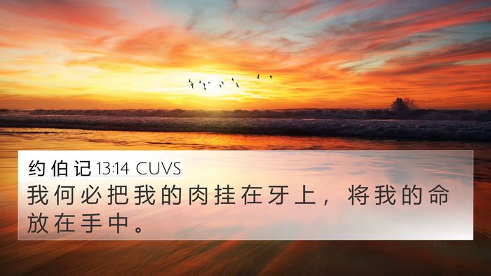 约 伯 记 13:14 CUVS Bible Verse Image