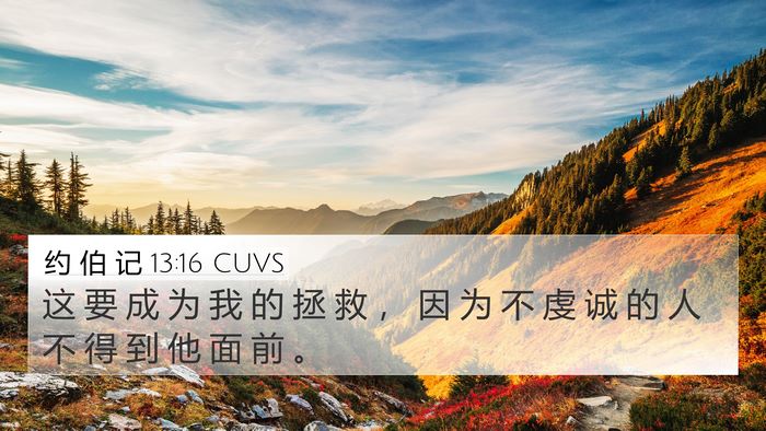 约 伯 记 13:16 CUVS Bible Verse Image