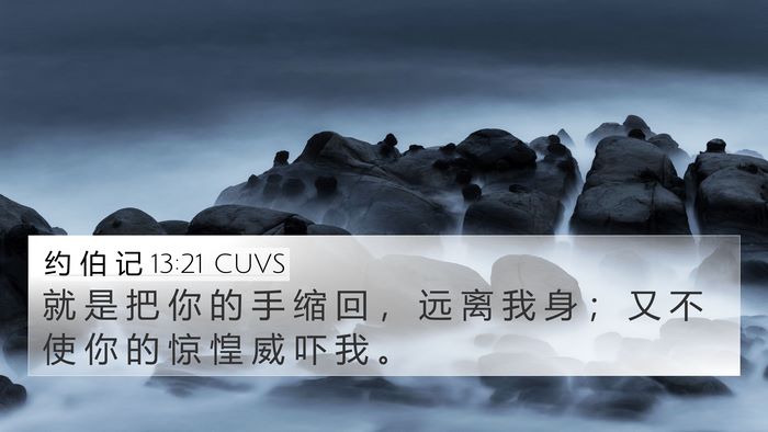 约 伯 记 13:21 CUVS Bible Verse Image