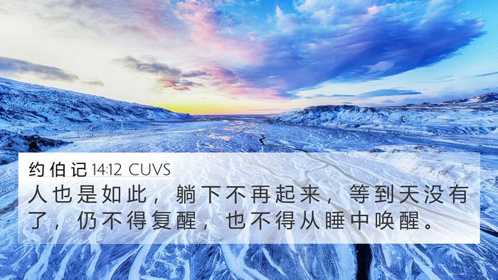约 伯 记 14:12 CUVS Bible Verse Image
