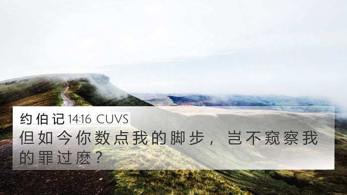 约 伯 记 14:16 CUVS Bible Verse Image