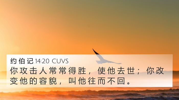 约 伯 记 14:20 CUVS Bible Verse Image
