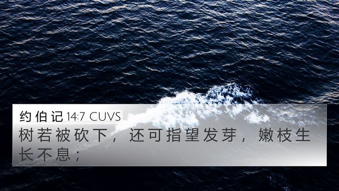 约 伯 记 14:7 CUVS Bible Verse Image