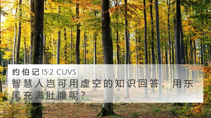 约 伯 记 15:2 CUVS Bible Verse Image