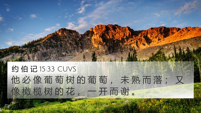 约 伯 记 15:33 CUVS 4K Wallpaper - 他 必 像 葡 萄 树 的 葡 萄 ， 未 熟 - 4K Wallpaper Bible Verse
