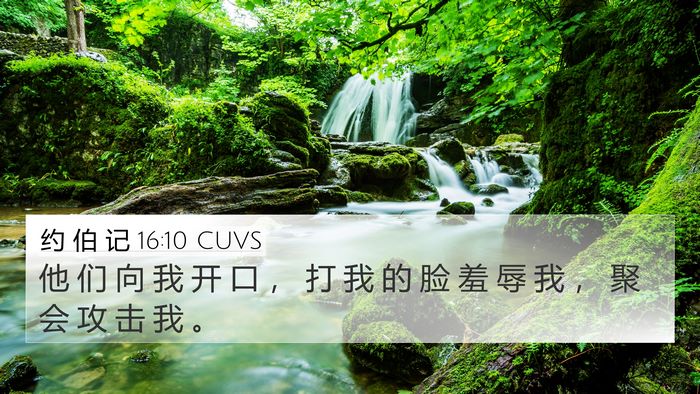 约 伯 记 16:10 CUVS Bible Verse Image