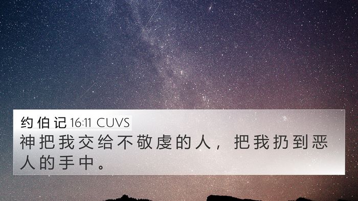 约 伯 记 16:11 CUVS Bible Verse Image