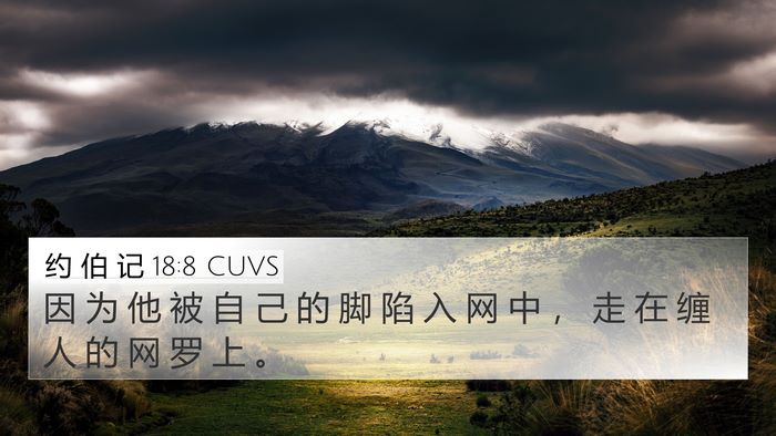 约 伯 记 18:8 CUVS Bible Verse Image