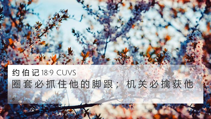 约 伯 记 18:9 CUVS 4K Wallpaper - 圈 套 必 抓 住 他 的 脚 跟 ； 机 关 - 4K Wallpaper Bible Verse