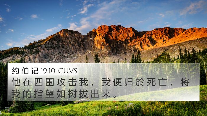 约 伯 记 19:10 CUVS Bible Verse Image