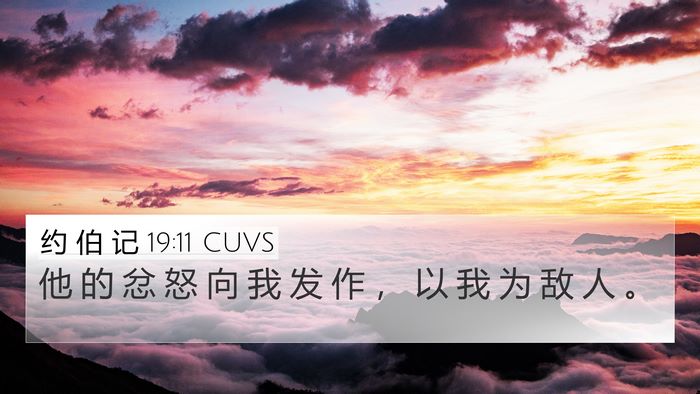 约 伯 记 19:11 CUVS Bible Verse Image