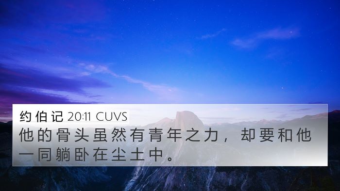 约 伯 记 20:11 CUVS Bible Verse Image