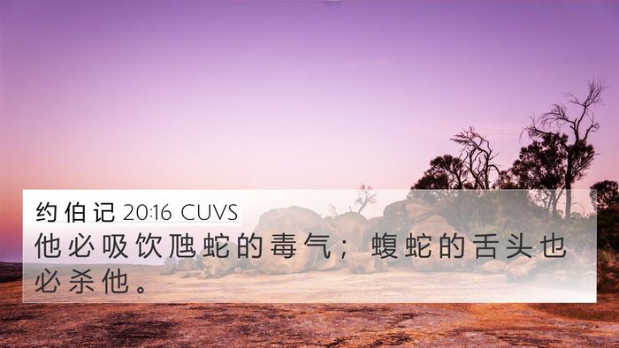 约 伯 记 20:16 CUVS Bible Verse Image
