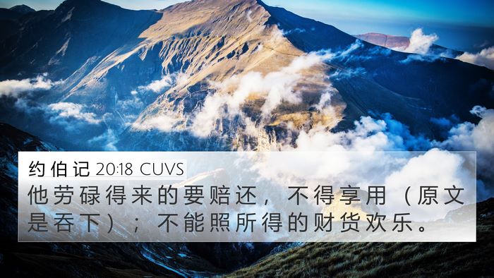 约 伯 记 20:18 CUVS Bible Verse Image