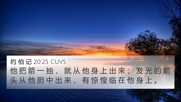 约 伯 记 20:25 CUVS Bible Verse Image