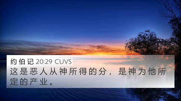 约 伯 记 20:29 CUVS Bible Verse Image