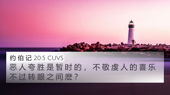 约 伯 记 20:5 CUVS Bible Verse Image
