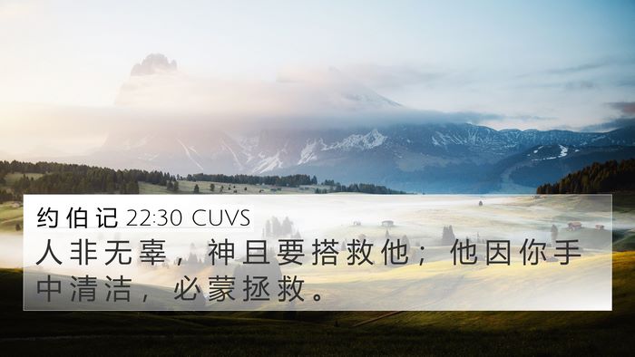 约 伯 记 22:30 CUVS Bible Verse Image