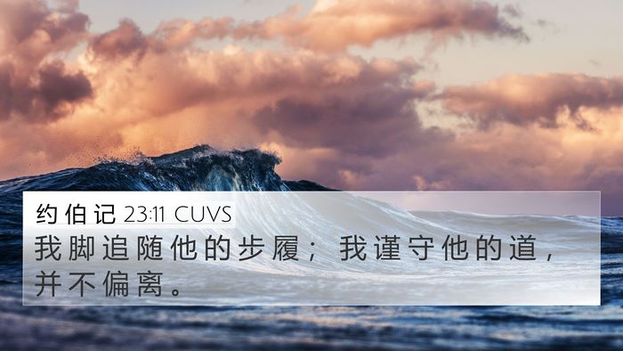 约 伯 记 23:11 CUVS Bible Verse Image