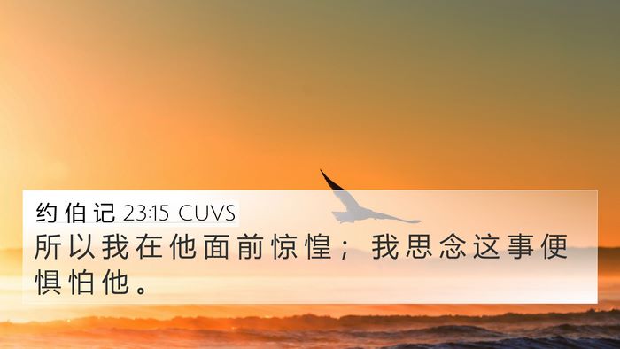 约 伯 记 23:15 CUVS Bible Verse Image
