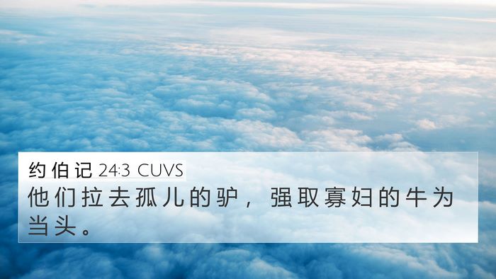 约 伯 记 24:3 CUVS Bible Verse Image