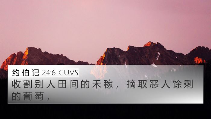 约 伯 记 24:6 CUVS 4K Wallpaper - 收 割 别 人 田 间 的 禾 稼 ， 摘 取 - 4K Wallpaper Bible Verse