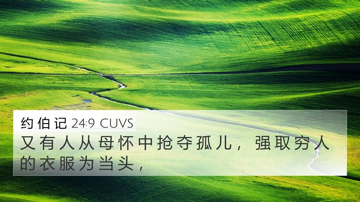 约 伯 记 24:9 CUVS Bible Verse Image