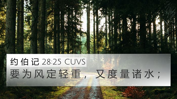 约 伯 记 28:25 CUVS Bible Verse Image