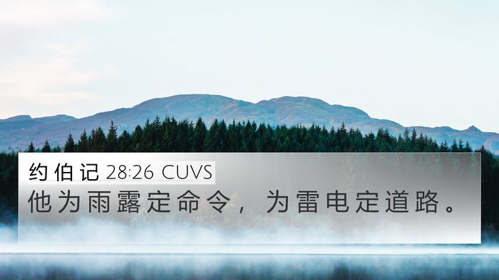 约 伯 记 28:26 CUVS Bible Verse Image