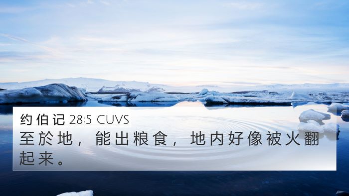 约 伯 记 28:5 CUVS Bible Verse Image