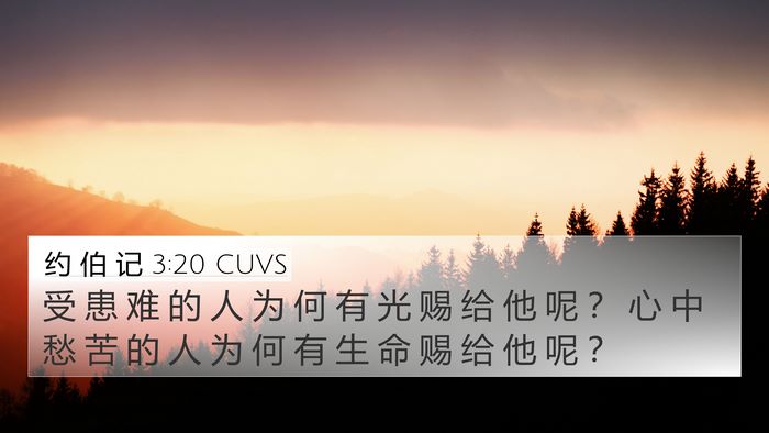 约 伯 记 3:20 CUVS Bible Verse Image