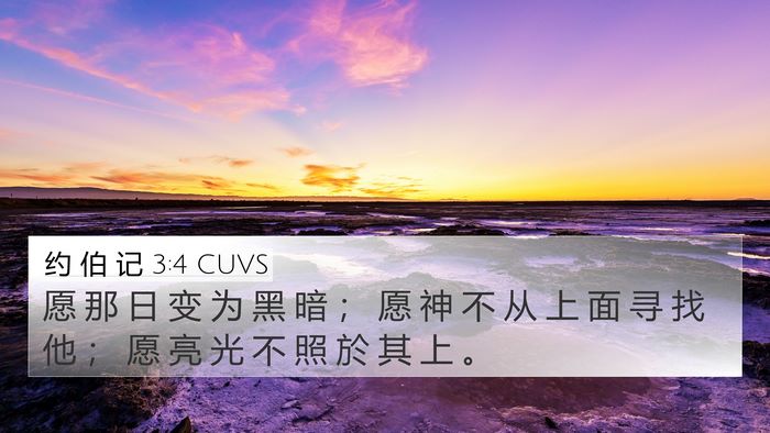 约 伯 记 3:4 CUVS Bible Verse Image